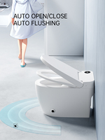 WC intelligent monobloc sans réservoir avec bidet intégré pour la maison, la salle de bain et l'hôtel, avec lavage à l'eau chaude, siège chauffant et séchage à l'air