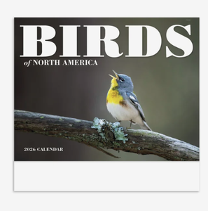 Calendriers personnalisés 2027 sur le thème des oiseaux d'Amérique du Nord, agrafés, avec logo personnalisé, cadeau promotionnel, vente en gros, qualité supérieure - Product Image 3