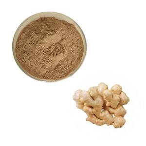 Ekstrak jahe Kurkumin kunyit bubuk kuning kapsul pengisian Curcuminoid Multi spesifikasi 2025 tersedia - Product Image 1