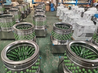 Nouvelle machine à plumer et à enlever les plumes de volaille en acier inoxydable à haute productivité, modèle TM-L