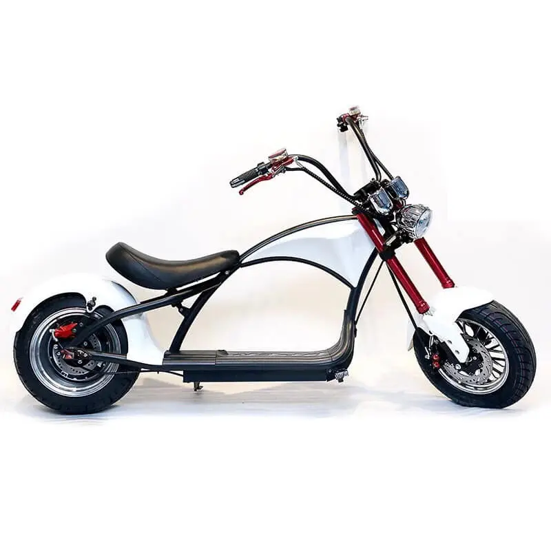 CEE città coco scooter elettrico per adulti 1000w seev citycoco 2000w scooter elettrico con fat bike pneumatico