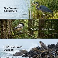 Traceur GPS compact et léger pour oiseaux, fauconnerie et rapaces, avec fixation sur patte et étanchéité IP67 pour les fauconneurs