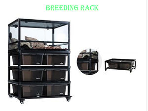 Cam sürüngen teraryum kertenkele teraryum sürüngen kuluçka sürüngen yumurta kuluçka - Product Image 6