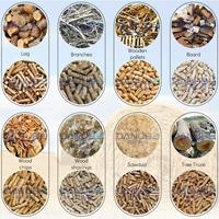 Fournisseur de machines à granulés de bois biomasse de pointe, ligne de production de granulés de paille et de bois biomasse