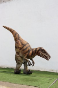 <span class=keywords><strong>Disfraz</strong></span> de <span class=keywords><strong>Dinosaurio</strong></span> Velociraptor Realista Personalizado con Sonido de Rugido para Parques de Aventuras, Uso en Interiores/Exteriores - Product Image 2
