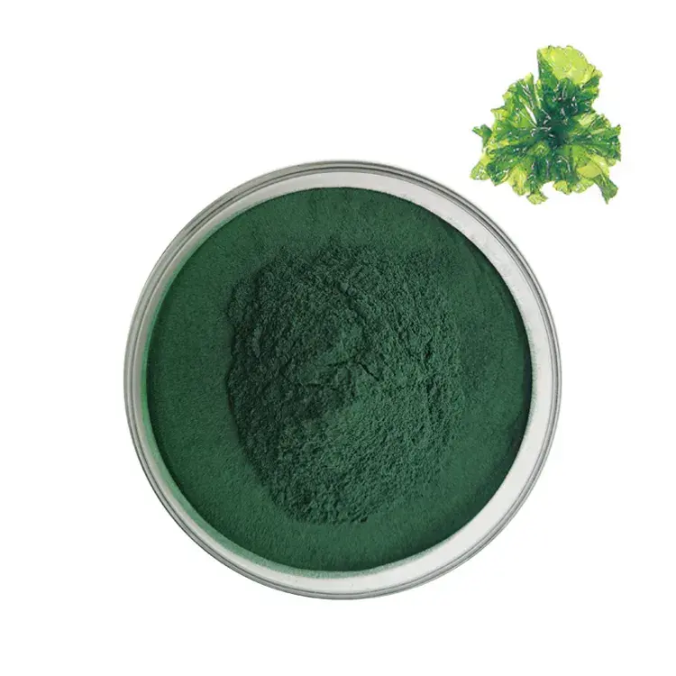 100% polvo de espirulina natural muestra gratis polvo de espirulina orgánica