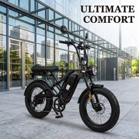 Retro Scrambler Şişman Lastikli Elektrikli Bisiklet 500W Göbek Motoru 48V 10.4Ah Lityum Pil 20 inç Arazi E-bisikleti 7 Vitesli Çift Disk Fren OEM
