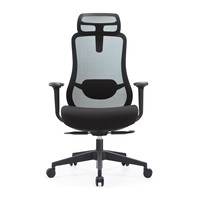 Chaise de Direction Ergonomique en Maille de Qualité avec Cadre en Nylon, Roulettes en PU Testées BIFMA, Accoudoirs 4D pour la Maison et le Bureau, Achat en Gros