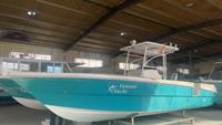 YAMANE YACHT 8.50m 28ft Bateau de pêche Panga à console ouverte et toit rigide en fibre de verre, fabriqué en Chine
