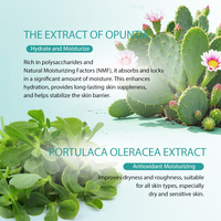 Crème hydratante intensive Cactus Aqua Sorbet, crème hydratante pour le visage, fabricant de cosmétiques pour soins de la peau ODM, marque privée OEM