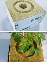 Xiamen – Cubes de culture hydroponique personnalisés en laine de roche de haute qualité, pour plantation