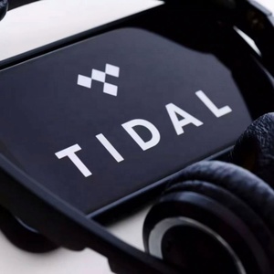 การสมัครสมาชิกเพลง Tidal Tidal แบบพิเศษ Tidal HIFI PLUS 6เดือน - Product Image 4