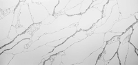 Machine de dessin et de pulvérisation de texture CNC pour la personnalisation de la texture du marbre artificiel Calacatta, du quartz et des plans de travail