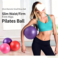 Ballon de yoga prénatal mini 25 cm en PVC épaissi anti-explosion, avec support dorsal lisse et tube en maille pour gymnastique, fitness et massage