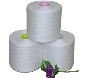 20/2 20/3 20/6 Dyeing tube Plastic cone 100% polyester Spun Yarn Raw white Yarn