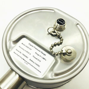 تصنيع الزيت الهيدروليكي مضخة المياه الرقمية مقياس ضغط الوقود - Product Image 2