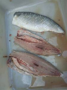 Macchina per Filettare Pesce FGB-180 in Acciaio Inox per Salmone, Sgombro, Sgombro <span class=keywords><strong>Alka</strong></span>, Merluzzo - 40-60 Pezzi/min, Tasso di Filettatura 76-80% - Product Image 6