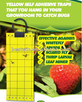 Pièges à insectes pour jardinage agricole résistants aux UV double face, tampons collants pour attraper les mites et les araignées, jetables, utilisables toute l'année, 24x10cm