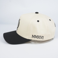 Op maat gemaakte logo CMYK 3D geborduurde baseball caps - 100% katoenen poplin stof hand geborduurde Argyle fruit verstelbare groothandel
