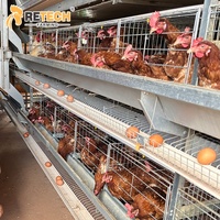 Système de cages automatiques pour poulets d'Indonésie, capacité 30 000 poules pondeuses, équipement d'élevage avicole à vendre
