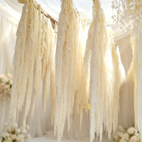 Fleurs décoratives de Noël : Amaranth préservé, fleurs séchées, plante éternelle, amaranthus suspendu pour décoration de mariage