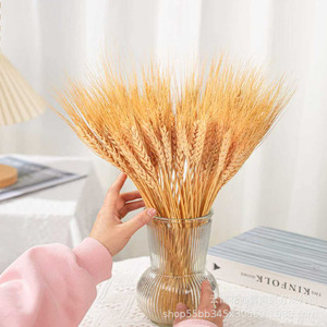 Oferta Especial: Ramilletes de Trigo Seco 100% Natural para Centros de Mesa, 50 Ramas por Ramillete, para Bodas Rústicas - Product Image 2