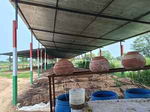 Mejor Precio en Venta, Compost Vermicólico Indio de 1 Kg, Fertilizante Orgánico, Alta Demanda, Calidad de Exportación, Uso Agrícola - Product Image 6