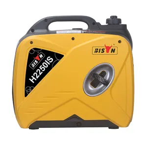 Bison Smart Portable Digital Petrol 2kw 2kva 2000w Super Silent Inverter Power Generator