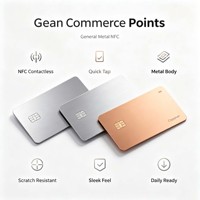 Özel Baskılı 13.56MHz MIFARE DESFire EV3 (2K/4K/8K Bayt) RFID Otel Giriş Kartı