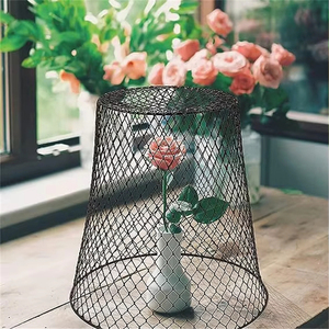 Cloche pour plantes en métal robuste, conique, en treillis métallique, protection contre les parasites et les animaux pour les semis de jardin et les plantes en pot - Product Image 6