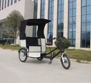 Fabrika tedarikçisi hızlı hız Tuk Tuk otomatik E Rickshaw çevre dostu yolcu bölmeli elektrikli üç tekerlekli bisiklet arka koltuk ile