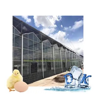 Multi Single Span Green House with Hollow Tempered Glass Hydroponic System for Lettuce Pepper Bell Pepper Mushroom