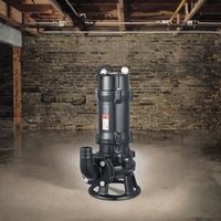 Pompe submersible en acier inoxydable et fonte pour eaux usées, 10 CV, haute pression, raccord à bride pour le rejet d'eaux usées industrielles et les inondations