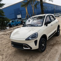 Nouvelle Voiture Électrique Haute Vitesse pour Adultes, Conduite à Gauche, 5 Portes, Hayon Automatique, Véhicule Électrique à Énergie Nouvelle, Prix Direct Usine