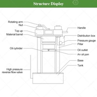 Machine d'extraction d'huile d'amande, de soja, de palmiste, de macadamia, d'avocat, de noisette et de gingembre