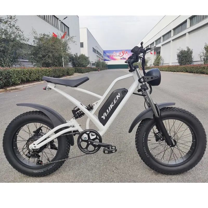 13ah Battery Electric Folding E Bike Fat Tire Motorcycles 20 Inch Electric City Bike Fat Tire Electric Bike Electric Bicycle