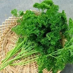 <span class=keywords><strong>Prezzemolo</strong></span> Secco 1kg Dalla Cina - Product Image 3