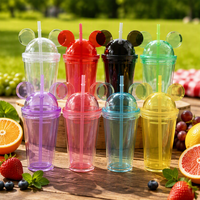 Gobelet en plastique à double paroi sans BPA de 16oz 480ml avec paille et couvercle en forme de dôme