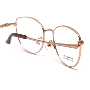 Phụ Nữ Xu Hướng Mới Titan Khung Cảnh Tượng Thời Trang Kính Cho Ladys - Product Image 4