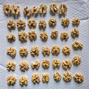 Noyaux de <span class=keywords><strong>noix</strong></span> séchés de qualité supérieure, ambrés clairs naturels, entiers, vente en gros, <span class=keywords><strong>noix</strong></span> saines riches en oméga-3, nourriture pour le cerveau - Product Image 3