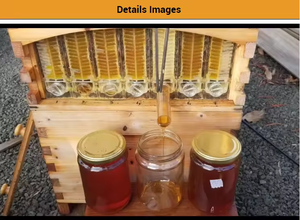 Maßgefertigte Automatische Holz-Bienenstöcke, Kiefernholz-Bienenstöcke für den Bienenzuchtbetrieb, Flow Hive Honigbienen - Product Image 6