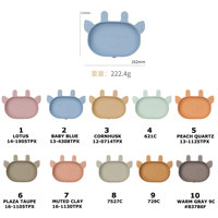New Mecain Vente en gros Bol et assiette en silicone pour alimentation par aspiration Plaque en silicone pour bébé