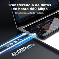 Cable de Datos USB-C a USB-C de Carga Rápida con Logotipo Personalizado de Fábrica OEM, Negro, para Laptops y Teléfonos Móviles, 3.3FT/1M