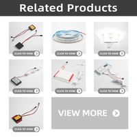 Shinechip AC110V 220V DC12V interruptor de luz LED Control de sensor táctil 12W interruptor de atenuación táctil con controlador de fuente de alimentación