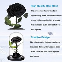 UKIQUEEN Vente en gros Flor Eterna Preservada Dôme en verre Noir Rose éternelle unique avec longue tige