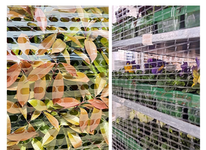 Food <b>Pallet</b> Stretch Film <b>Wrap</b> Wrapping Breathable Vented Perforated Transparent LLDPE Water Soluble Grocery Supermarket - Product Image 4