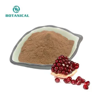 Bci High Quality Pomegranate Seed Extract 50% Polyphenols