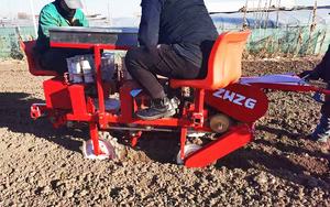 ZWZG-transplantador de <span class=keywords><strong>cebolla</strong></span> autopropulsado, 4 filas, alta calidad - Product Image 6