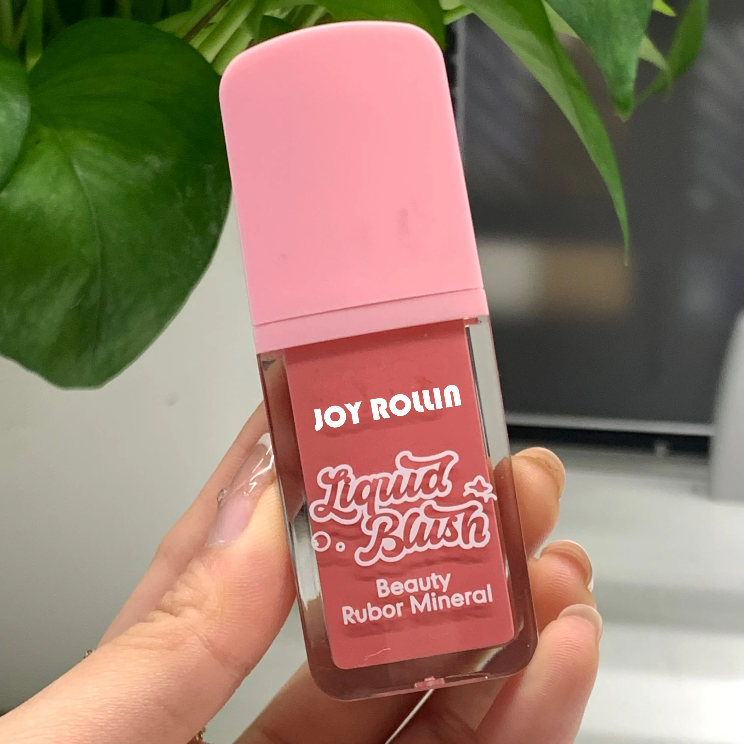 Blush and lip tint makeup cute brush manufacturers blush stick color changing pink dress liquid blush bottle