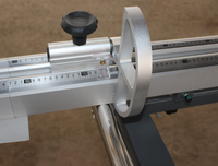 Scie à panneaux à table coulissante de haute précision LUBANLE MJ45DM verticale 5,5 kW 2800 mm 3000 mm 3200 mm 45 degrés pour le travail du bois